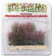 Detail v�robku: Akvarijn� rostlina UH, Foxtail