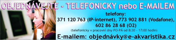 Zpět
