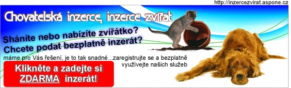  http://inzercezvirat.aspone.cz/